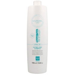 Champu Reestructurante 1L - Everego