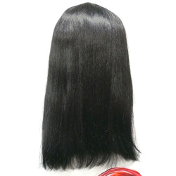 Paige HH Blended Wig