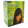 Organic Relaxer Regular 2 APP