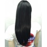 Go106 Synthetic Wig