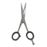 Tijera Prof Basic 5.5" Inox - Disprof